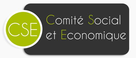 cse comité social et économique